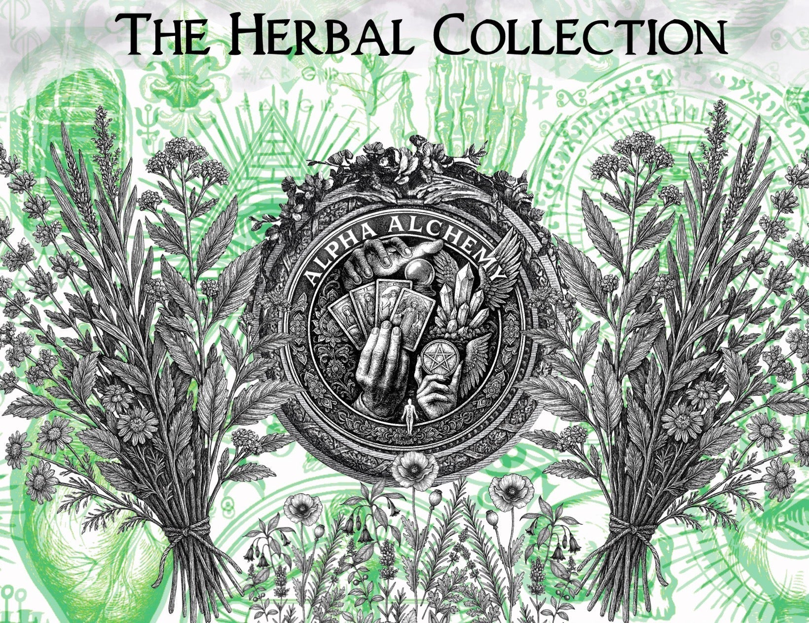 The Alpha Alchemy: Herbal Collection