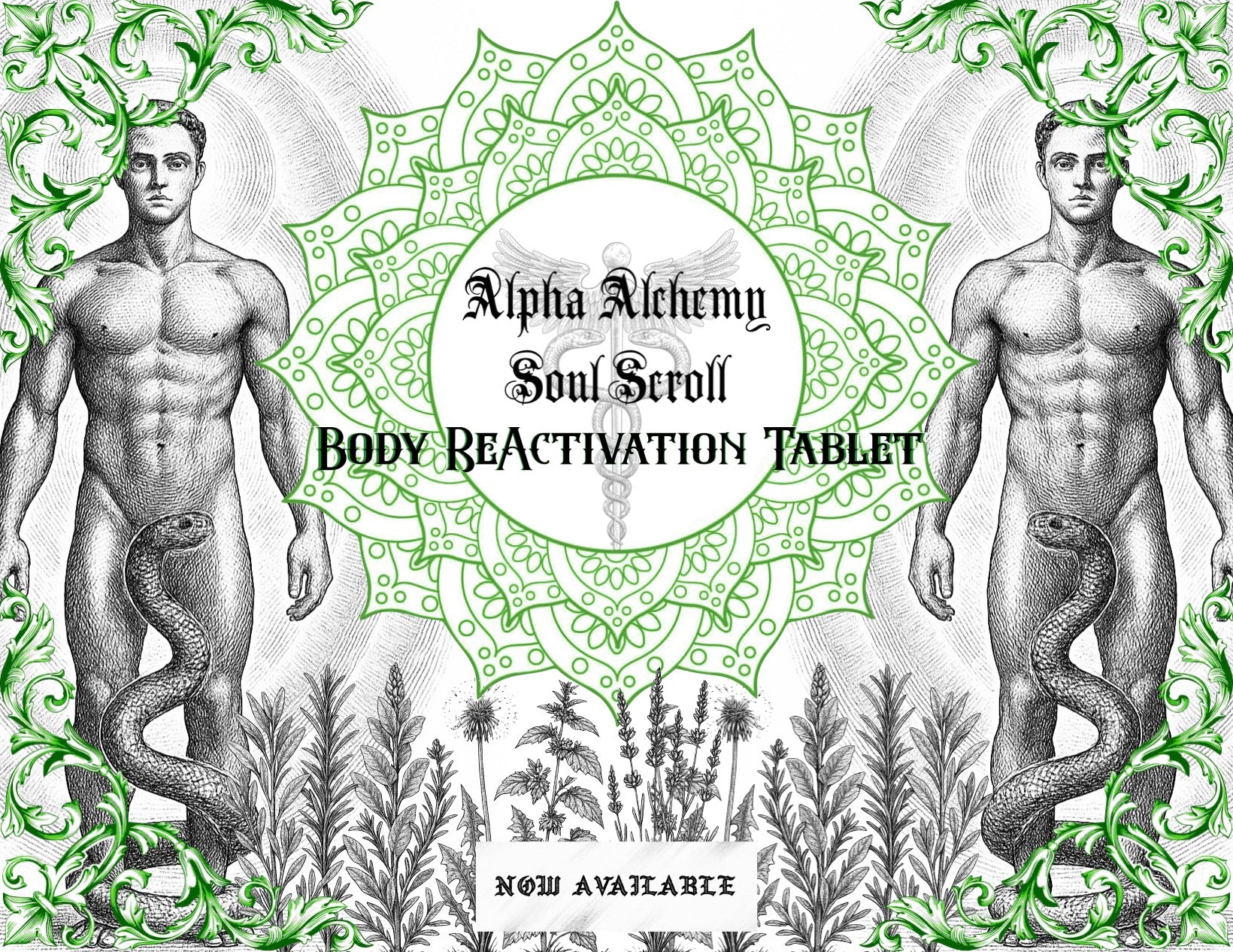 SOUL SCROLL - The Body ReActivation Tablet