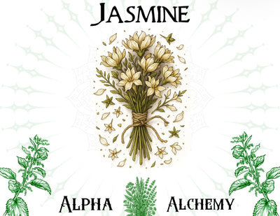 Herbal: Premium Jasmine