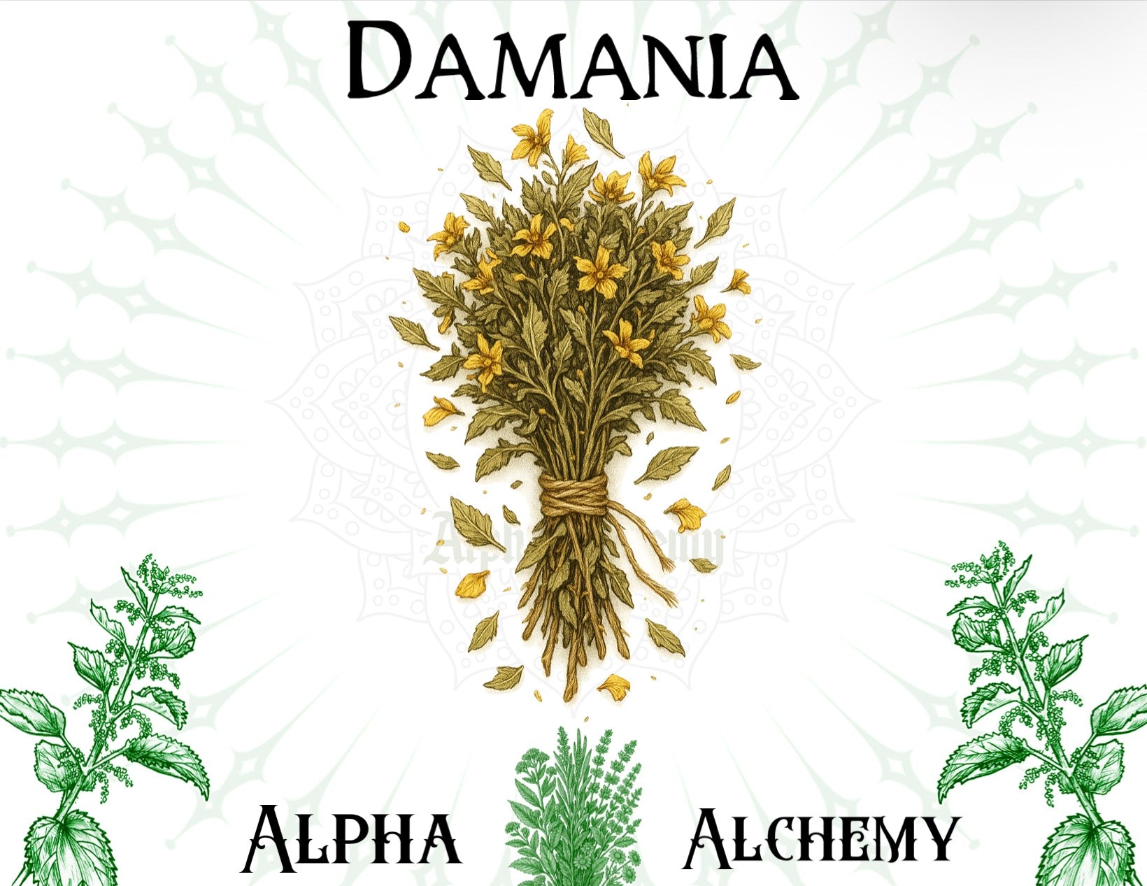 Herbal: Premium Damania