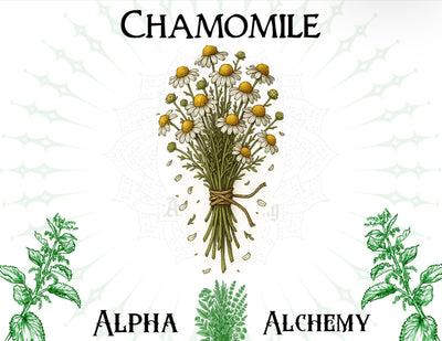 Herbal: Premium Chamomile